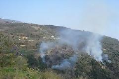 Μπαράζ πυρκαγιών στο Πήλιο με ...τρεις συλλήψεις