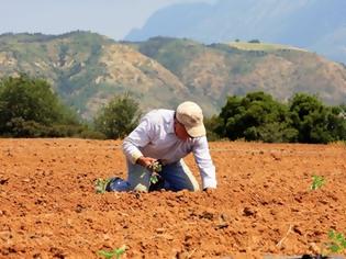 Φωτογραφία για Αγρότης με χρέη 345.000 ευρώ προς το Δημόσιο