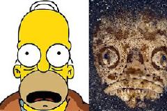 Ο Homer Simpson έγινε… ψάρι