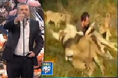Το μωρό που γελάει με τον Άδωνι