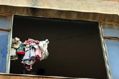 Άνθρωποι και ποντίκια σε 500 κτίρια