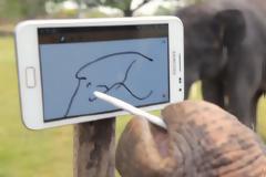 Ελέφαντας παίζει με ένα Galaxy Note