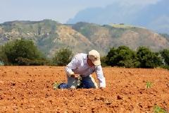 Τρεις χιλιάδες αγροτεμάχια σε νέους αγρότες