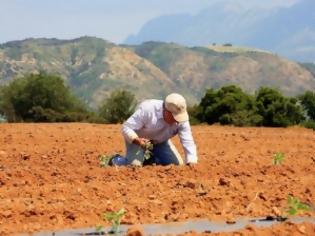 Φωτογραφία για Τρεις χιλιάδες αγροτεμάχια σε νέους αγρότες