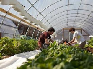 Φωτογραφία για Δόθηκαν 3.000 αγροτεμάχια σε νέους αγρότες!