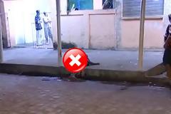 Το Βίντεο που έχει σοκάρει όλο τον Πλανήτη (Οι σκηνές είναι ακατάλληλες)