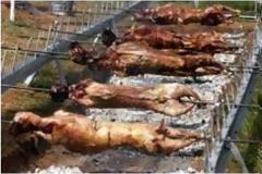 Eλεγχοι για τις ελληνοποιήσεις αμνοεριφίων