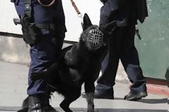 Νέα επιχείρηση «σκούπα» σε εξέλιξη στο κέντρο της Αθήνας