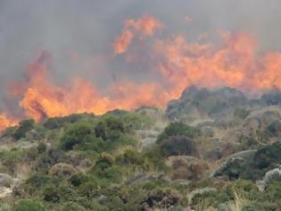 Φωτογραφία για 600 στρέμματα κάηκαν στην Σκύρο!