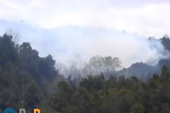 Πυρκαγιά σε εξέλιξη στο Νέο Παντελεήμονα Πιερίας