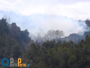 Φωτογραφία για Πυρκαγιά σε εξέλιξη στο Νέο Παντελεήμονα Πιερίας