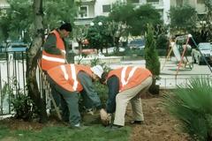 Στην Καρδίτσα έχουν αρχίσει και κλέβουν μέχρι και τα φυτά στα παρτέρια