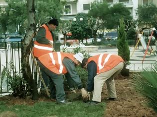 Φωτογραφία για Στην Καρδίτσα έχουν αρχίσει και κλέβουν μέχρι και τα φυτά στα παρτέρια