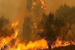 7 πυρκαγιές στη Στερεά τις τελευταίες ώρες