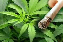 Μαθητές πιάστηκαν με χασίς στην Μυτιλήνη