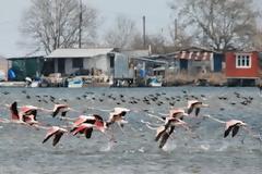 Την Κυριακή 1η Απριλίου ο πρώτος εθελοντικός καθαρισμός στις εκβολές Λουδία
