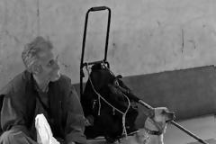 Το οικονομικό ολοκαύτωμα της Ελλάδας