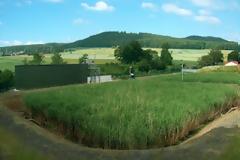 Τεχνητοί υγροβιότοποι «καταπίνουν» απόβλητα
