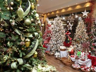 Φωτογραφία για Διαφορές έως και 2.300% στις τιμές των χριστουγεννιάτικων δέντρων