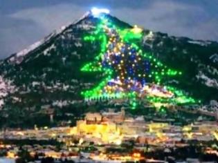Φωτογραφία για Αυτό είναι το μεγαλύτερο χριστουγεννιάτικο δέντρο στον κόσμο! [video]