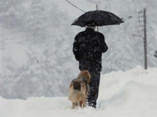 Φωτογραφία για Βοσνία Ερζεγοβίνη: Δύο νεκροί από το ψύχος