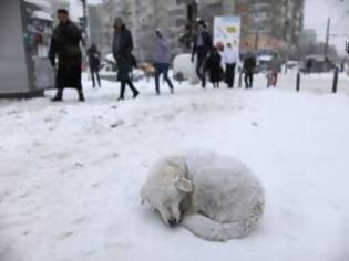 Φωτογραφία για Σε λευκό κλοιό τα Βαλκάνια