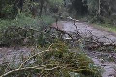 Πρέβεζα: Για μια ακόμη φορά στο έλεος της κακοκαιρίας