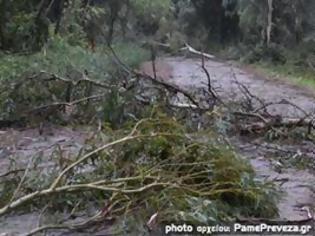 Φωτογραφία για Πρέβεζα: Για μια ακόμη φορά στο έλεος της κακοκαιρίας