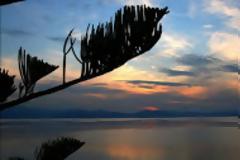 Μάχη 
