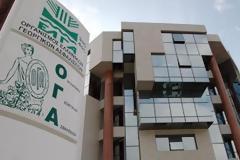 Την ερχόμενη Δευτέρα η πληρωμή των οικογενειακών επιδομάτων του ΟΓΑ