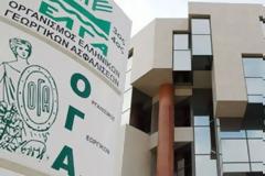 ΟΓΑ: Τη Δευτέρα 17 Δεκεμβρίου τα οικογενειακά επιδόματα