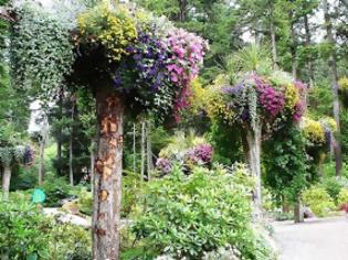 Φωτογραφία για Φανταστικός κήπος με ανάποδα ανθισμένα δέντρα!