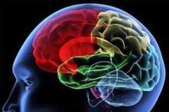 Χαμηλό IQ: ’’Παράγοντας κινδύνου για καρδιοπαθείς’’