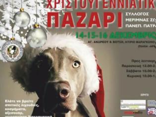 Φωτογραφία για Πάτρα: Για 17η συνεχή χρονιά θα πραγματοποιηθεί το Χριστουγεννιάτικο παζάρι του Συλλόγου στήριξης της Μέριμνας των Ζώων