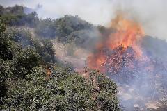 Έκαιγε χόρτα, τη ζάλισαν οι καπνοί, έπεσε στη φωτιά και κάηκε ζωντανή!