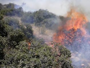 Φωτογραφία για Έκαιγε χόρτα, τη ζάλισαν οι καπνοί, έπεσε στη φωτιά και κάηκε ζωντανή!