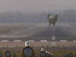Φωτογραφία για Απίστευτη προσγείωση... ελέφαντα! [video]