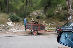 Ακατάπαυστη η παράνομη υλοτομία στα δάση της Σαλαμίνας