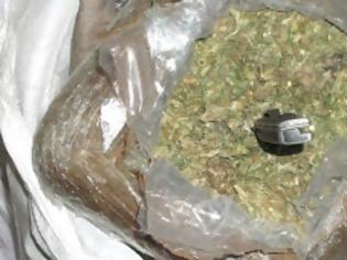 Φωτογραφία για Μητέρα-χασισέμπορος είχε 3 γιους στην «επιχείρηση» - ο ένας ανήλικος