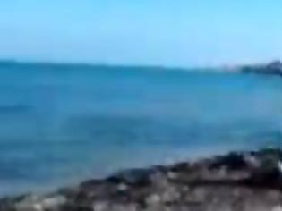 Φωτογραφία για Η θάλασσα ξέβραζε πτώματα στη Λέσβο-Βίντεο με σκληρές εικόνες