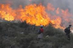Το 2012 ήταν η χρονιά με τα λιγότερα καμένα δάση στη Σάμο