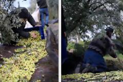 2390 - Μήπως πρέπει νά ἀλλάξουμε τήν γωνία ἀπ' ὅπου βλέπουμε τόν κόσμο;