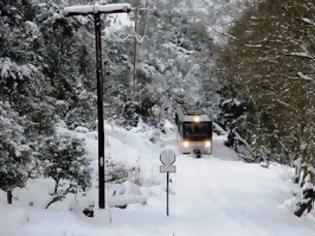 Φωτογραφία για Οδοντωτός - Το έλκηθρο των Χριστουγέννων! [video]