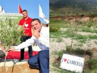 Φωτογραφία για Θεία Δίκη: Ξεράθηκε η ελιά του τσάμικου ζητήματος στα ελληνο-αλβανικά σύνορα