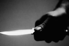 Ποινή φυλάκισης είκοσι ετών στην 32χρονη που σκότωσε την πεθερά της στη Χαλκιδική