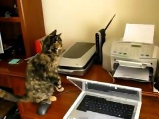 Φωτογραφία για Γάτες εναντίον... εκτυπωτή! [video]