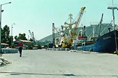 Το ξεπούλημα των λιμανιών αρχίζει από την Εύβοια