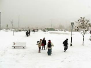 Φωτογραφία για Δήμαρχος Καστοριάς στο Bloomberg: Θα κλείσω τα σχολεία για μην παγώσουν τα παιδιά
