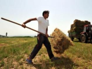 Φωτογραφία για Παραμένει το «αγκάθι» της φορολόγησης των αγροτών