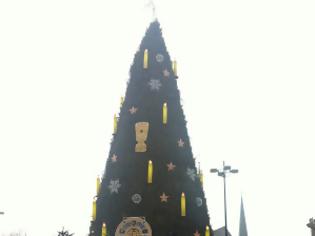 Φωτογραφία για Το μεγαλύτερο Χριστουγεννιάτικο δέντρο